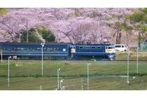 【刈谷・知立発】*日帰り弁当付き*『大井川鐵道EL列車と天竜浜名湖鉄道の春のW列車紀行』1